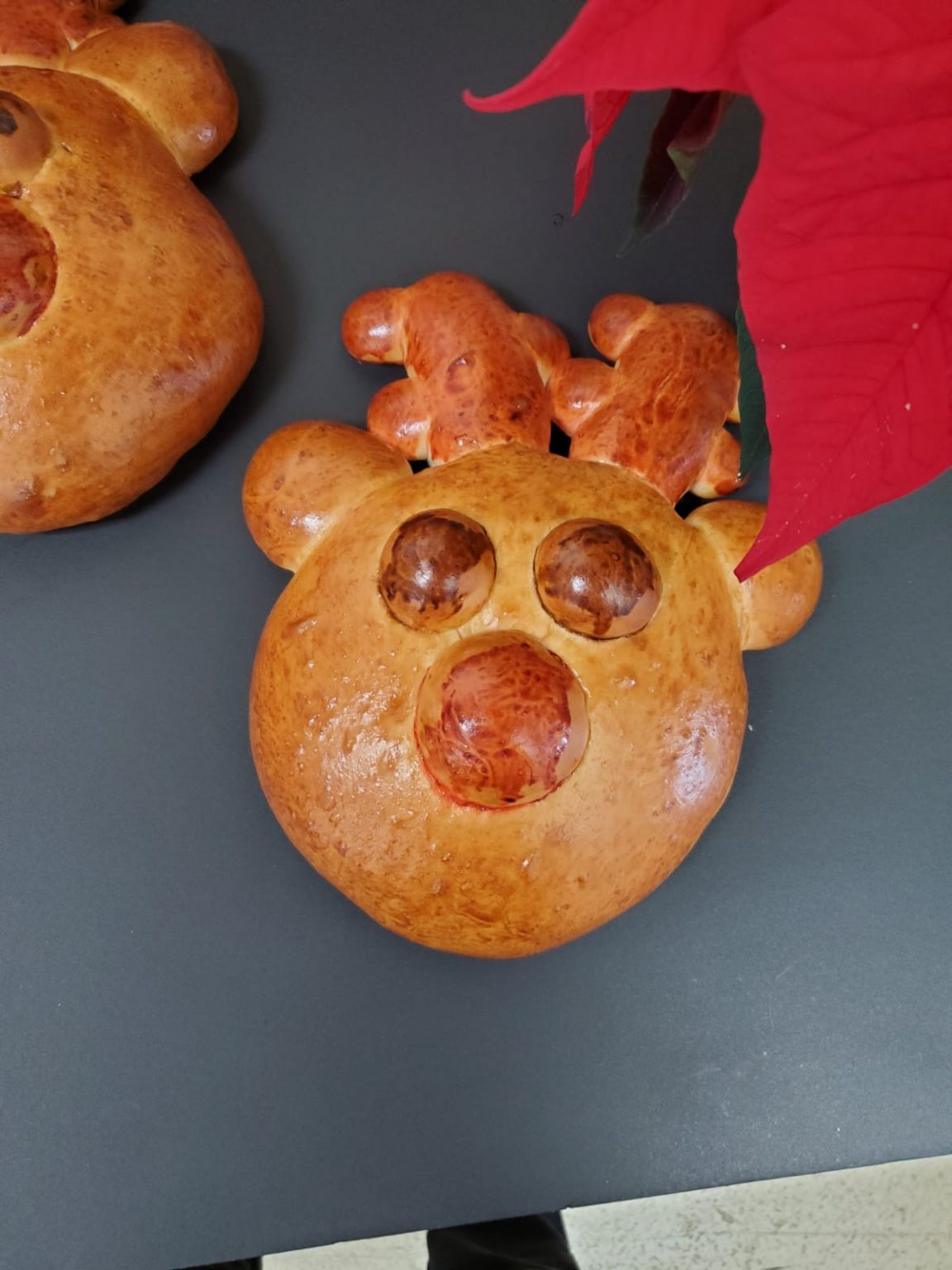 Rudolph Challah Bread Halifax Bread