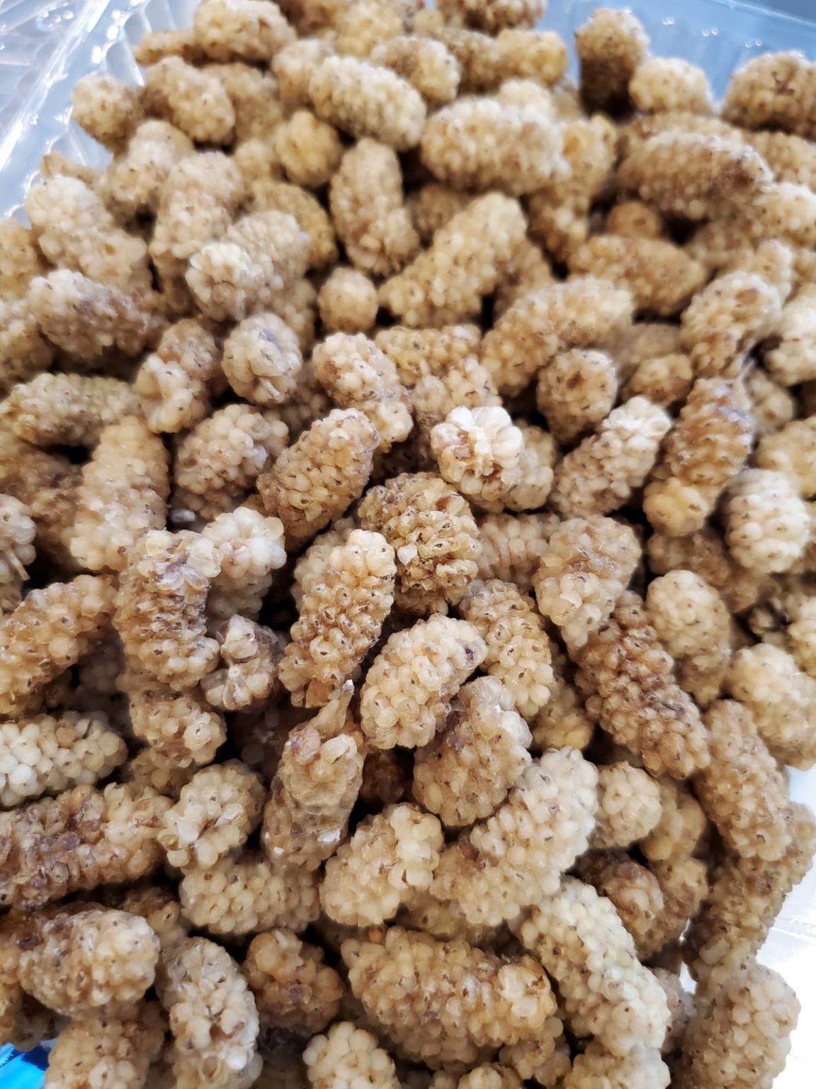Dried Mulberries Halifax Bread