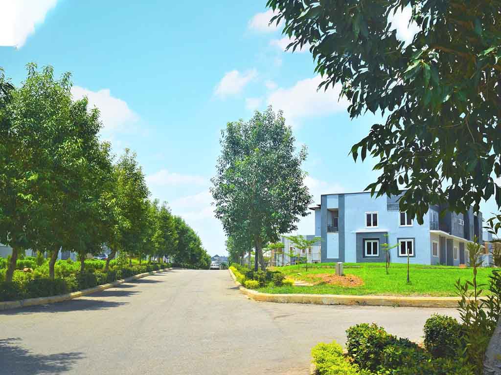 Brookshore Residence Hall7 Real Estate