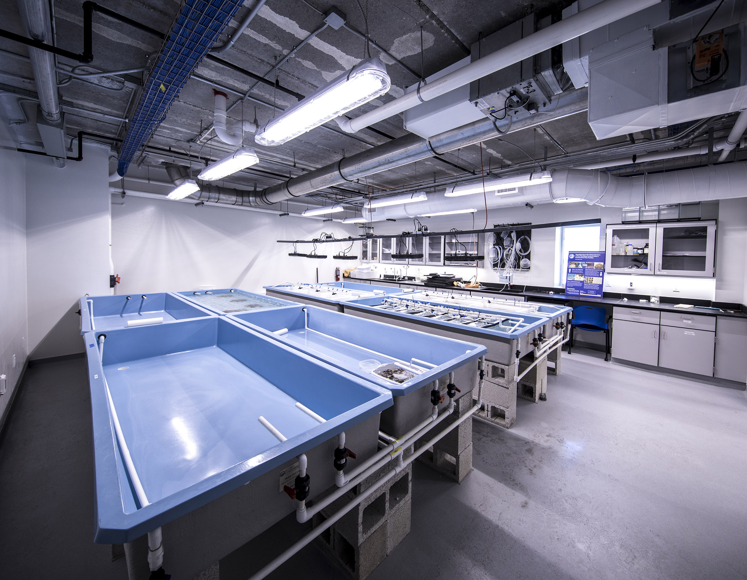 International Center for Coral Research & Restoration Hall Darling