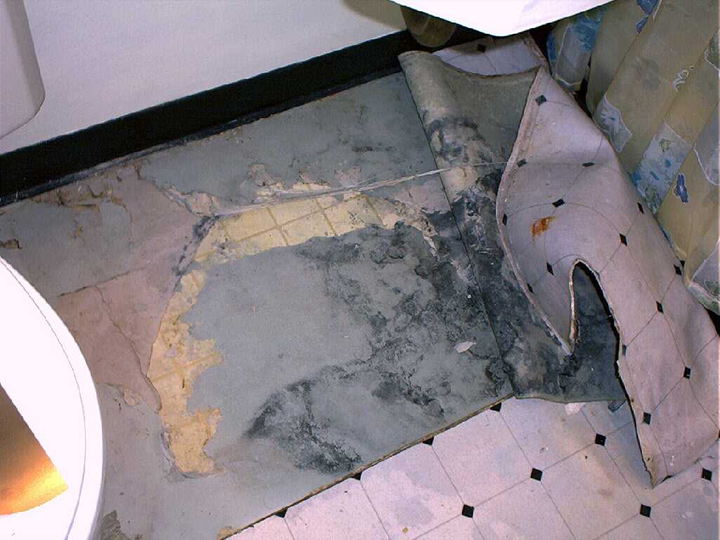 We pulled up that next layer of linoleum and found... more linoleum!