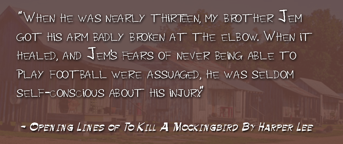 A Very Novel First Line Hallie Shepherd