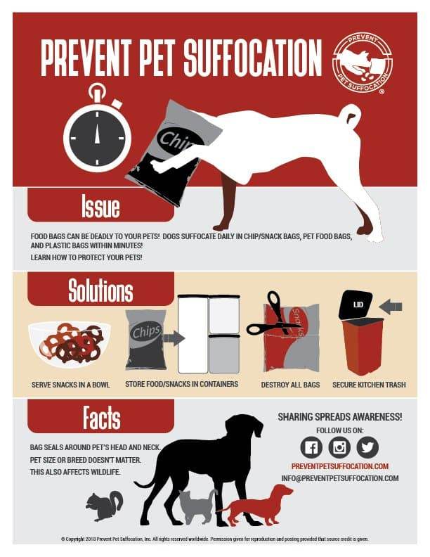 Pet Emergency Suffocation is Real Hazard Hallmark Times