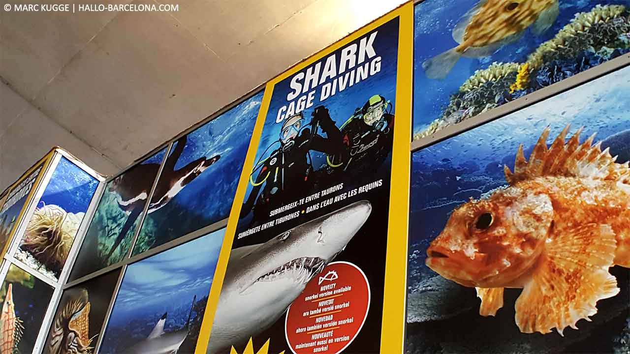 Aquarium Barcelona Preise 2018 Alle Tipps & Infos