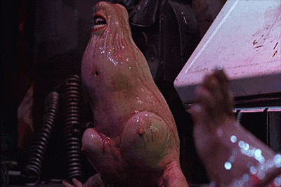 gif – Page 11 – Halloween Shindig
