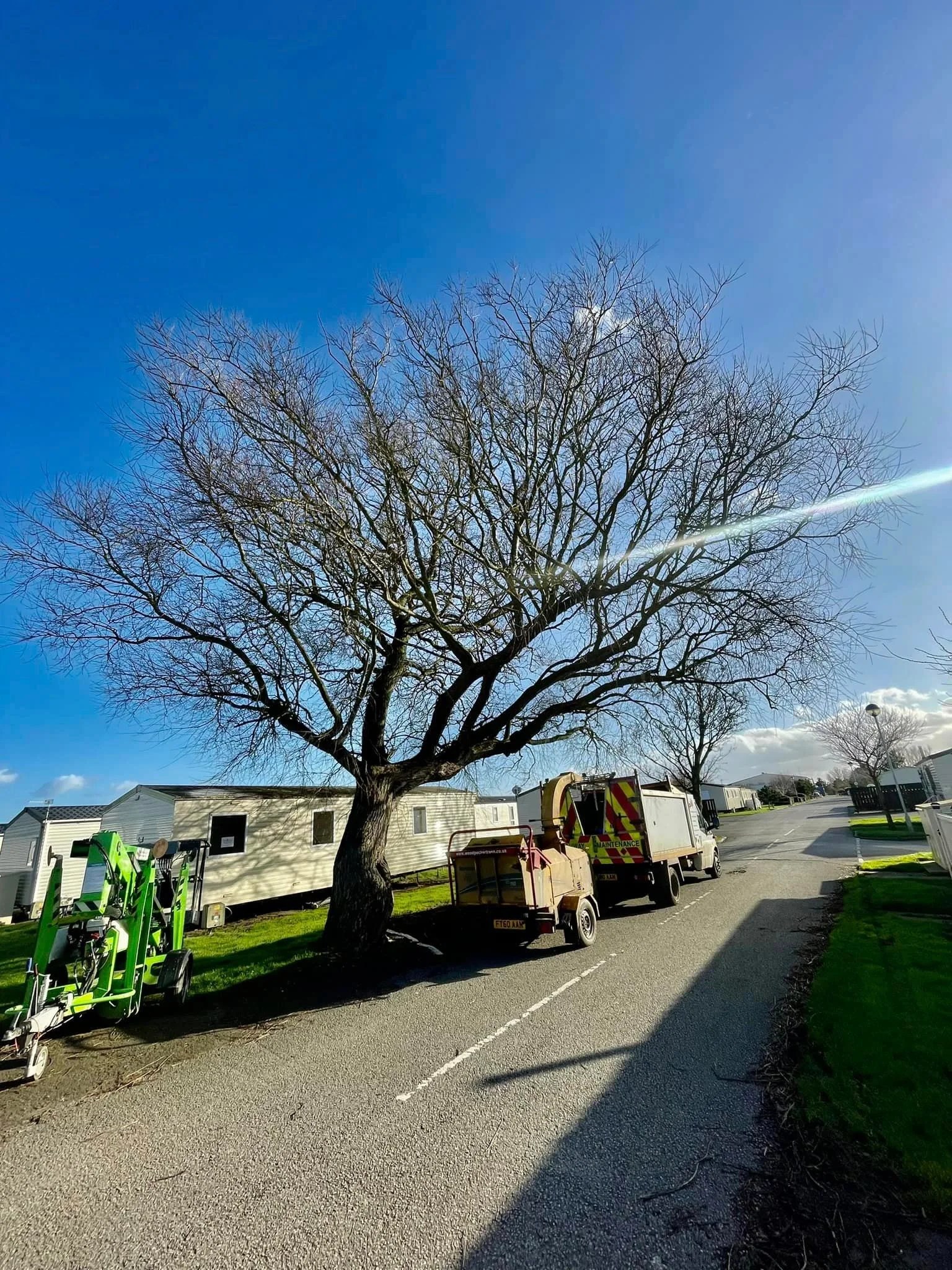 About Hall Trees Approved Tree Surgeons In Grimsby, Lincolnshire