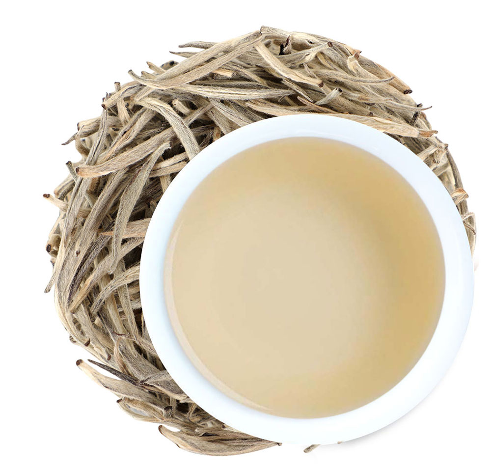 WHITE TEA Halmira White Tea White Tea Leaves Are Probably A Step