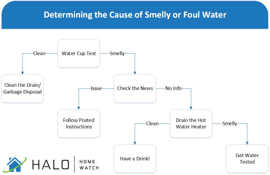 Determining the Cause of Smelly or Foul Water Halo Home Watch