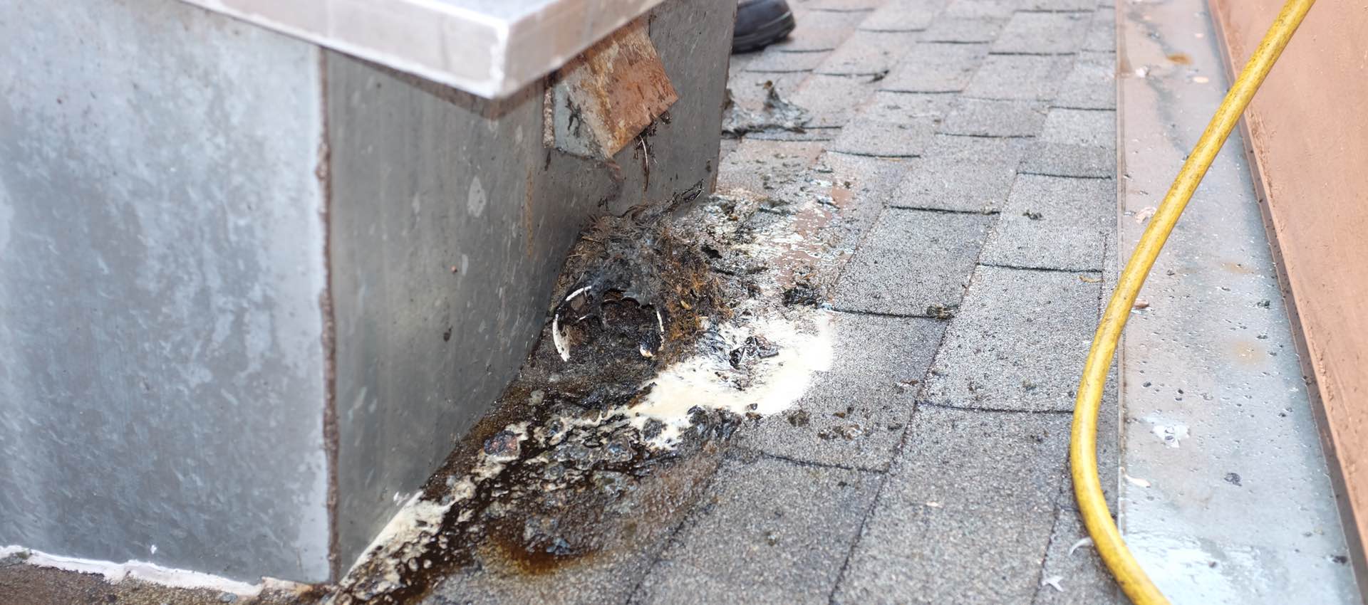Dangers Of Grease Accumulation On Commercial Rooftops Halo
