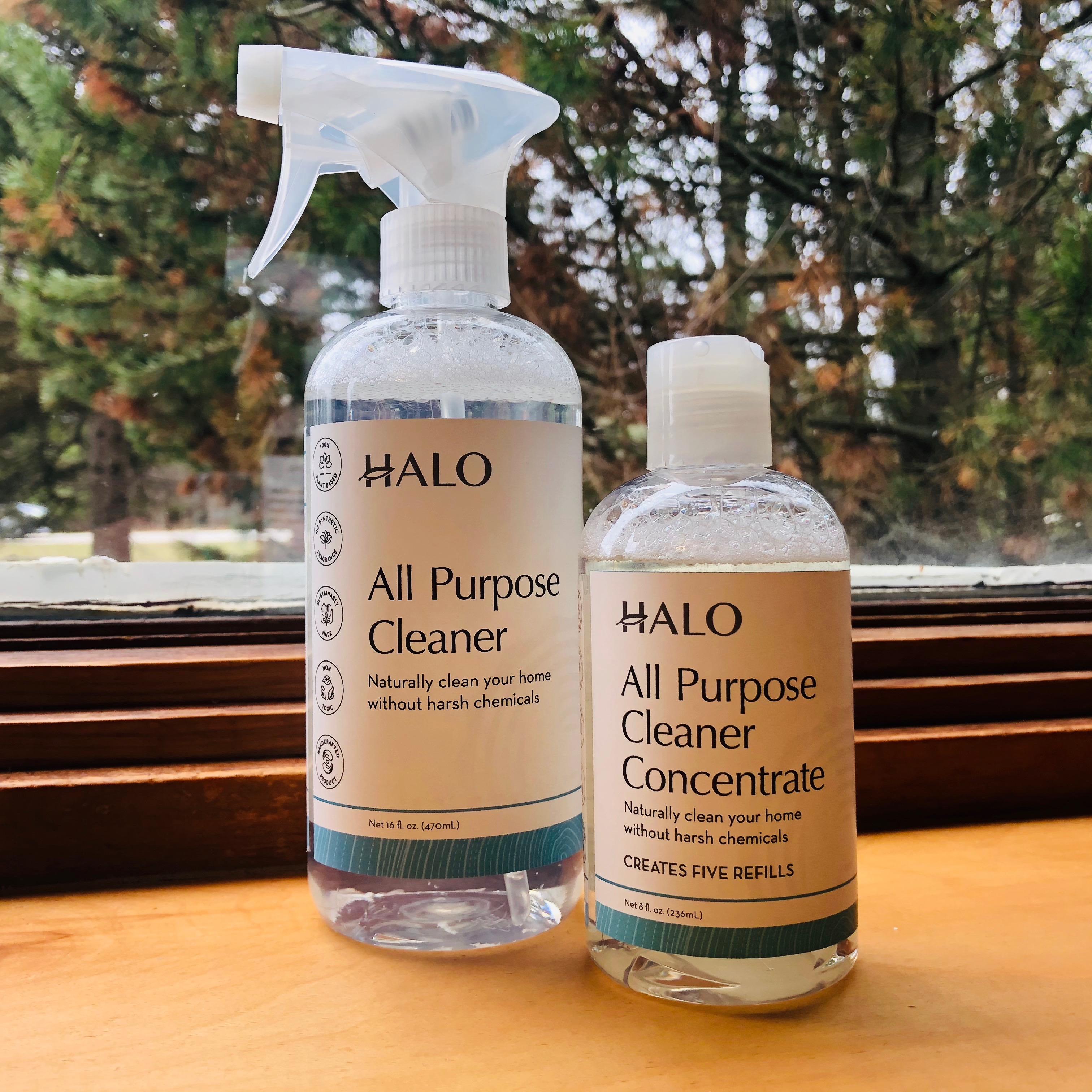 All Purpose Cleaner