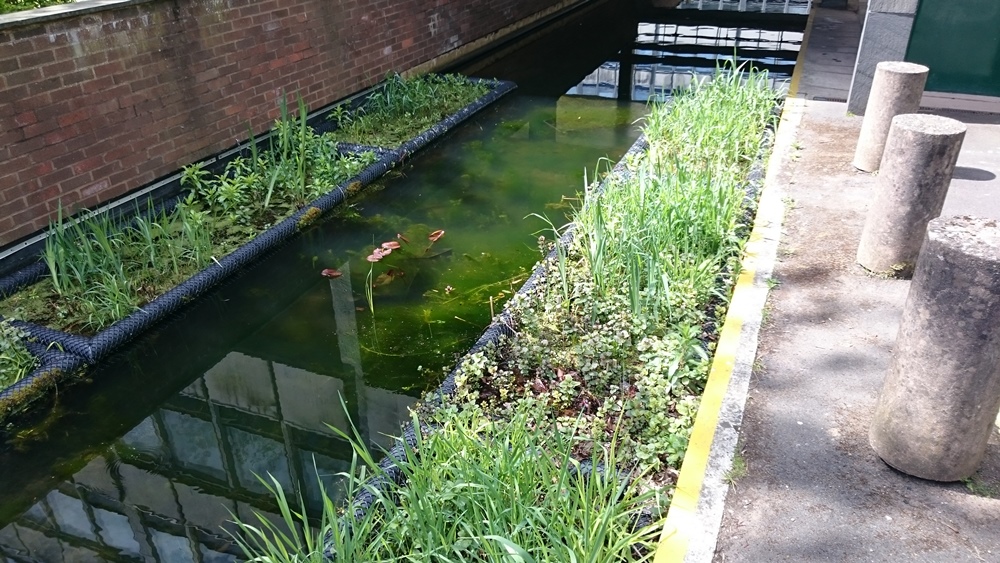 Bespoke Environmental Services Halpin Robbins