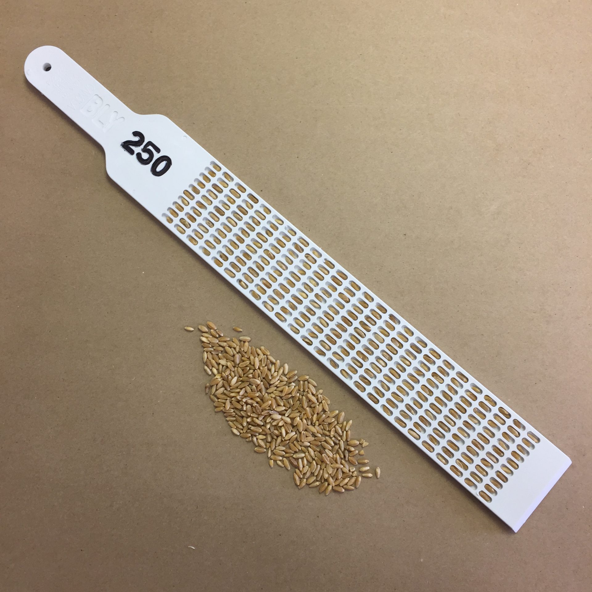 Barley/Durum 250 Count Seed Ruler – Dimo's Tool & Die/Labtronics