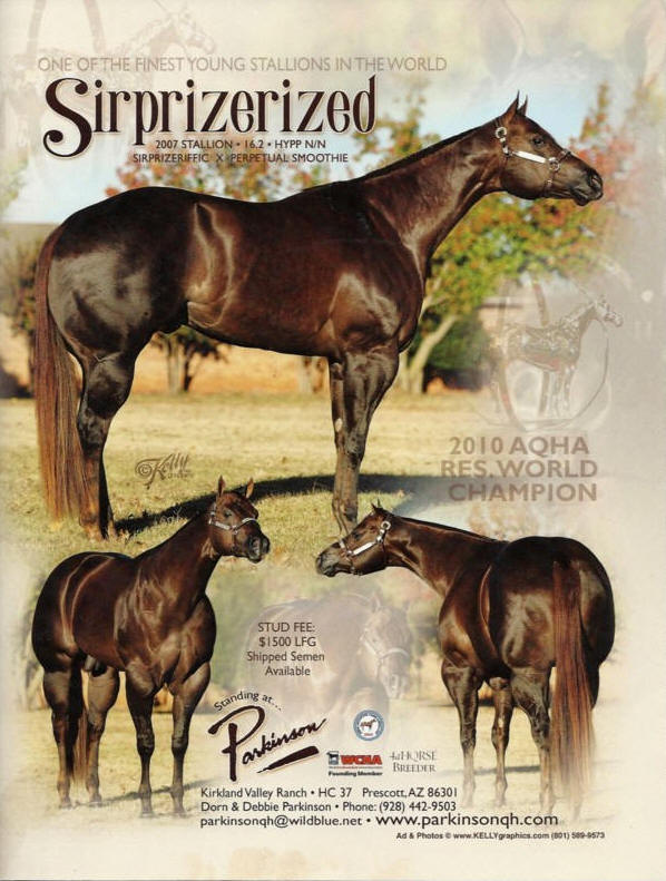 to Carri Jones Halter Horses!