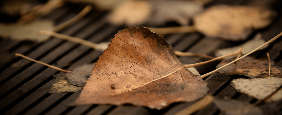 ¿Qué me pongo este Otoño? (PARTE II)