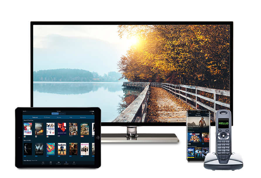 Hamari IP & TV Retailer