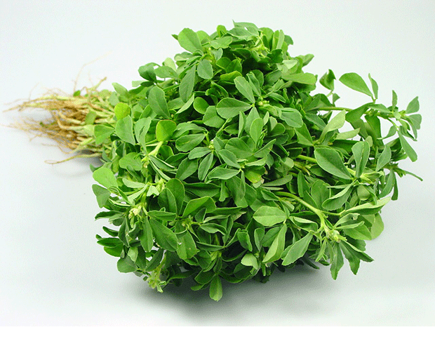 Fenugreek Health Benefits میتھی کے فوائد