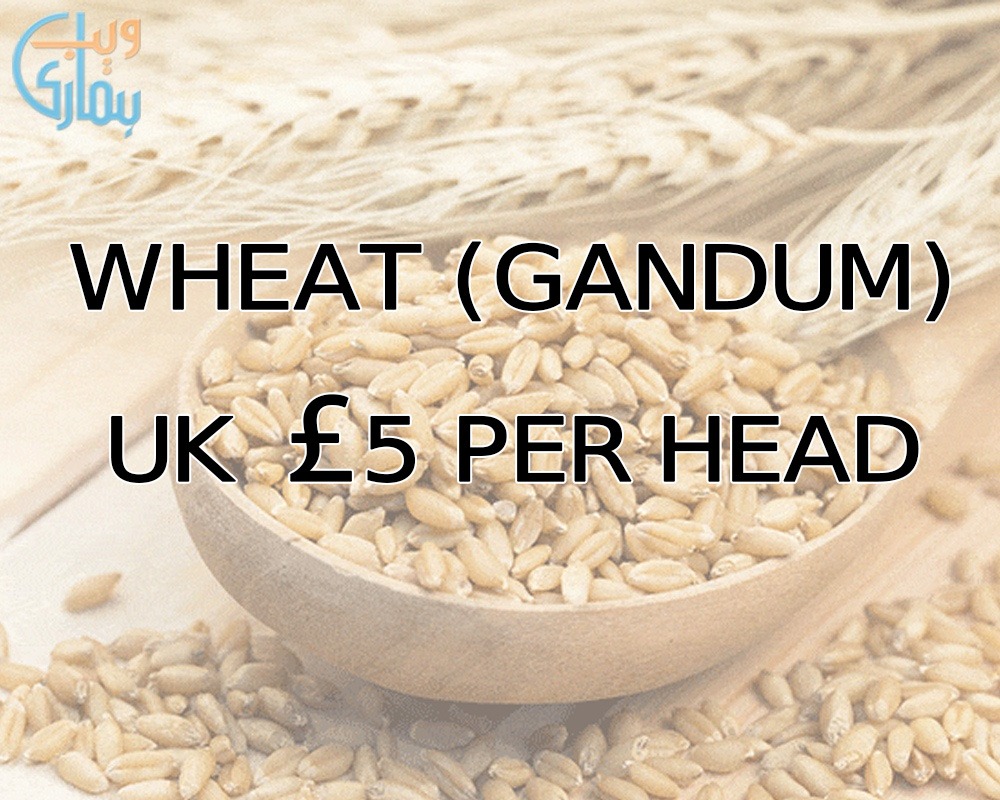 Zakat al Fitr (Fitrana) Amount in UK 2021