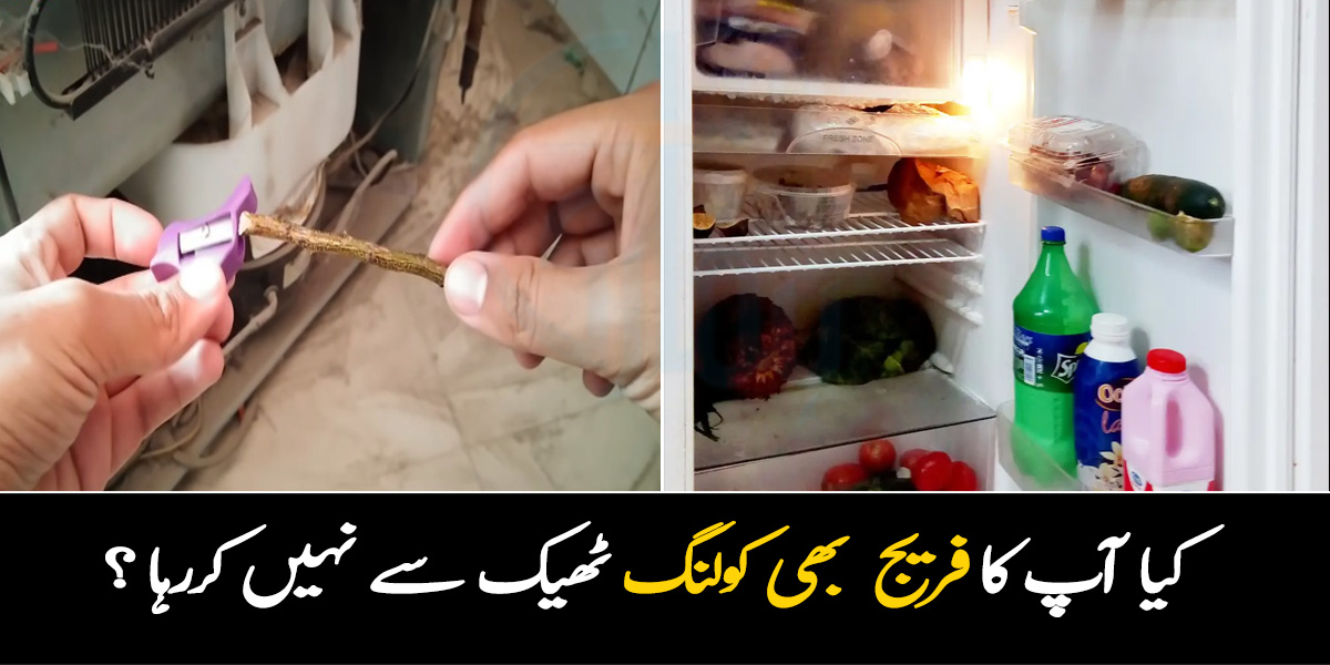 Fridge Ki Cooling Kam Hone Par Kya Kare In Urdu Women Tips And Tricks