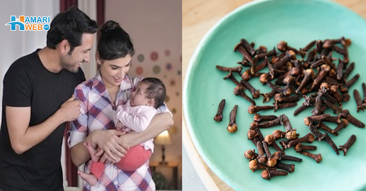 Clove Uses And Benefits For Infertility In Urdu Women Health And Fitness