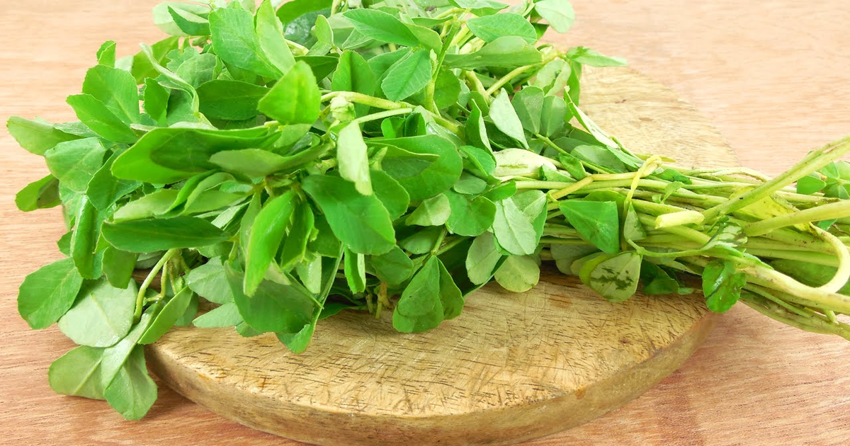 Fenugreek Leaves Benefits In Urdu Women Health And Fitness