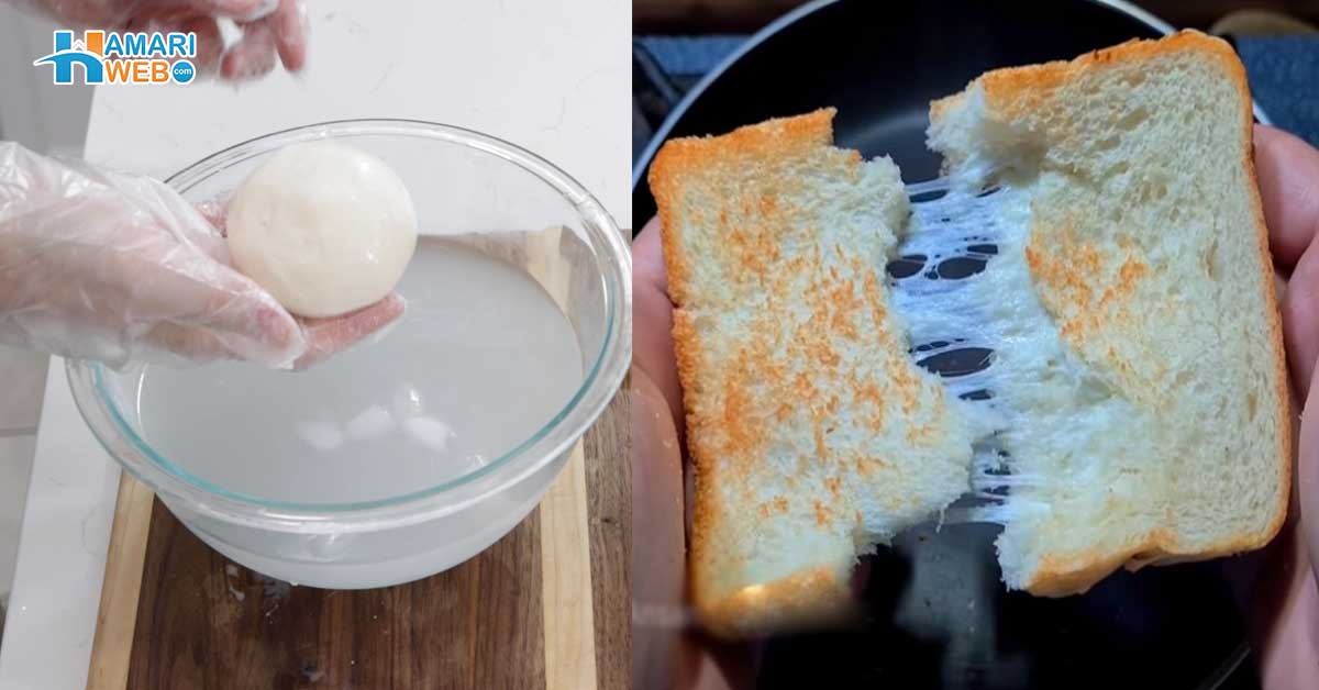 Homemade Mozzarella Cheese Recipe In Urdu Women Tips And Tricks