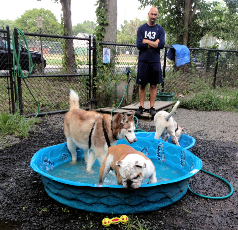 Swimming Pool 3 Hamden Dog Park at Bassett