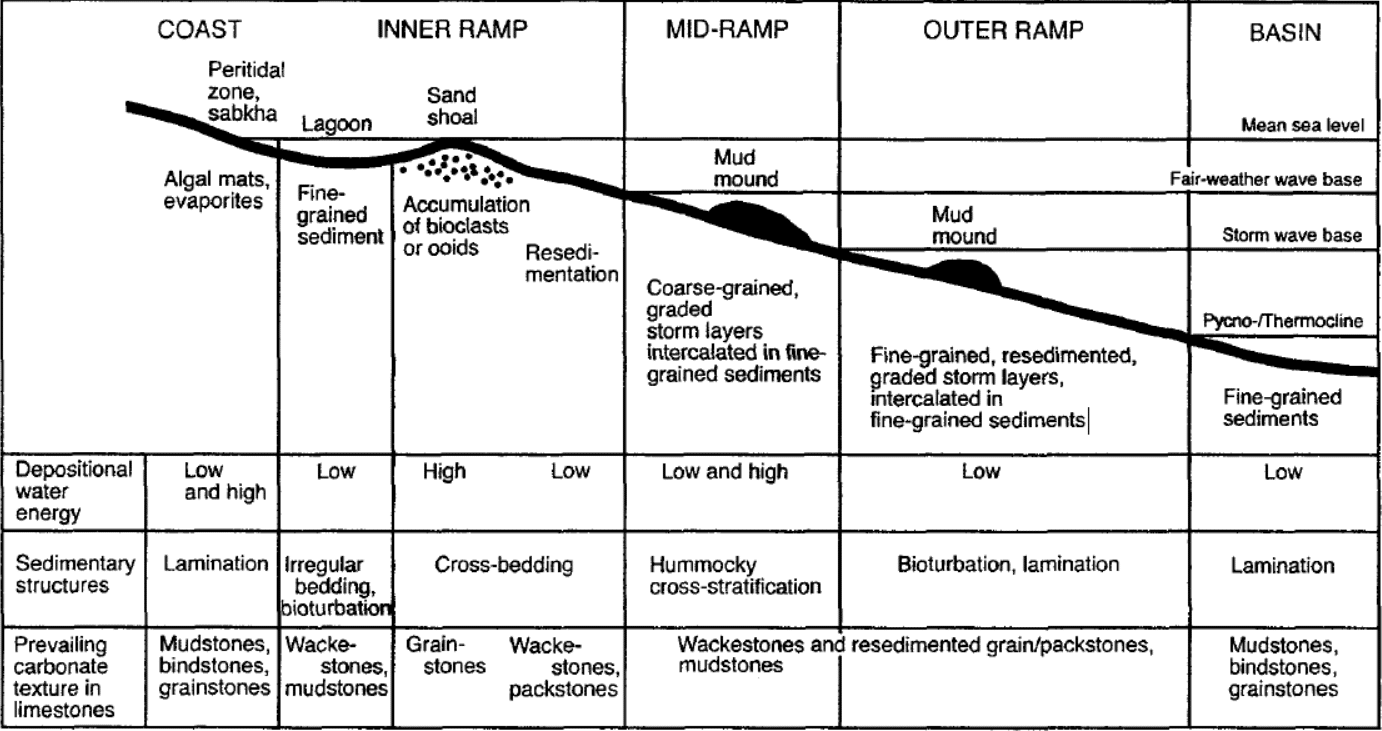 Limestone Depositional Environments HamedGeo