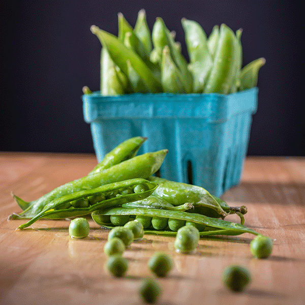 Hey all just checking in I had a 100 stones in the gallbladder