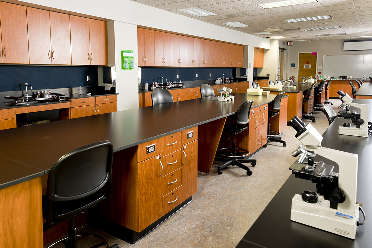 Laboratory Solutions Hamilton Casework