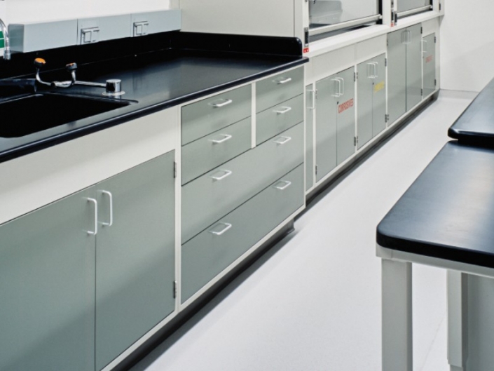 Hamilton Lab Laboratory furniture and fume hoods for all markets any