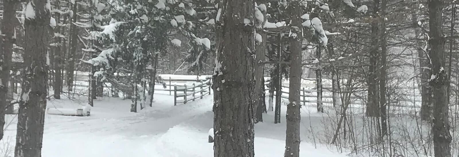 Hamilton Mansion is in Ripley, NY