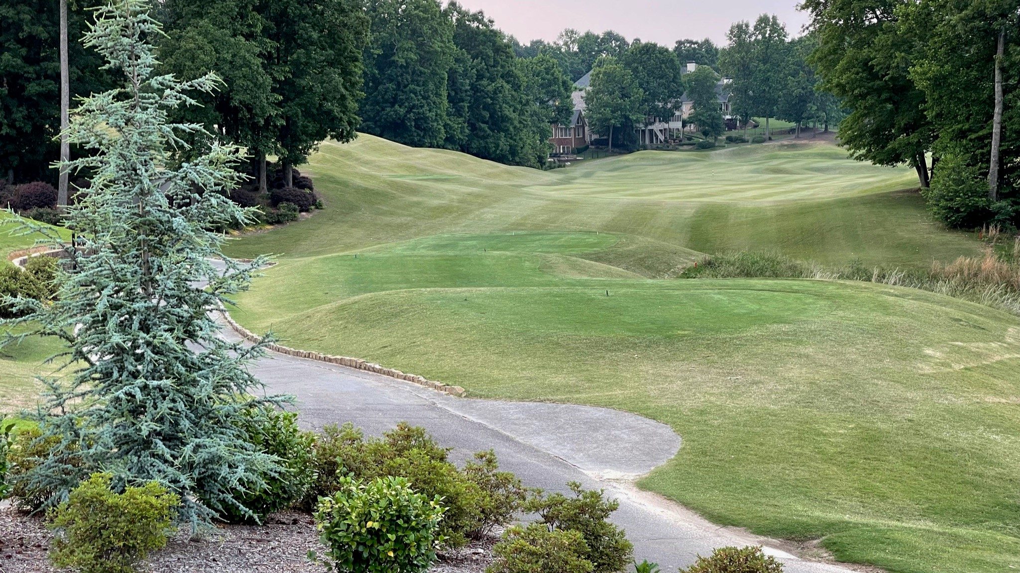 Par Point Results Hamilton Mill Golf Club