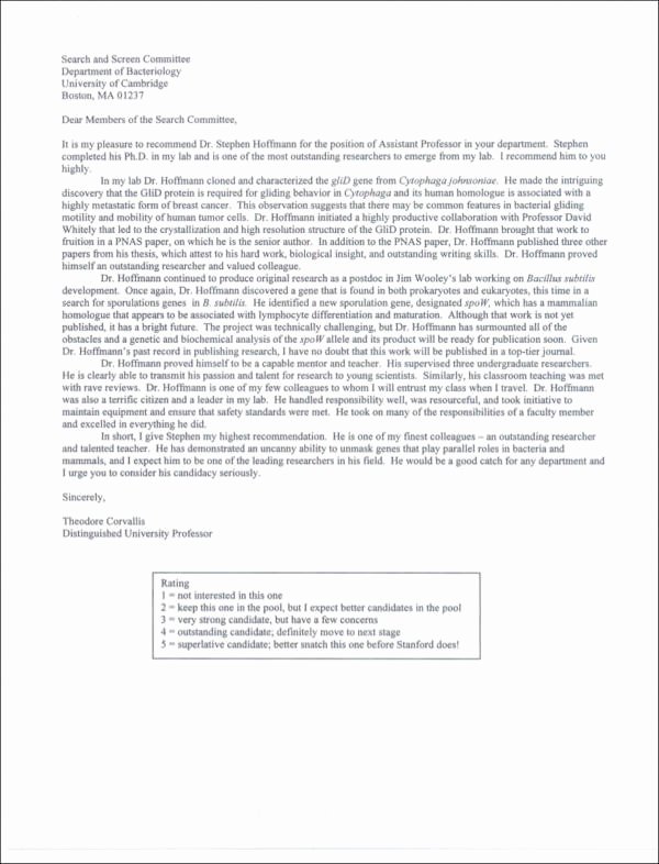 30 Letter Of Weaknesses Examples Hamiltonplastering