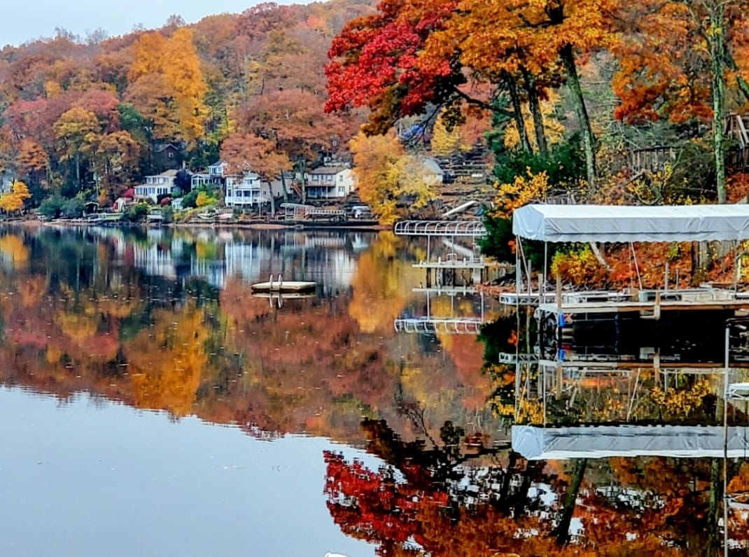 Gallery Friends of Hamilton Reservoir