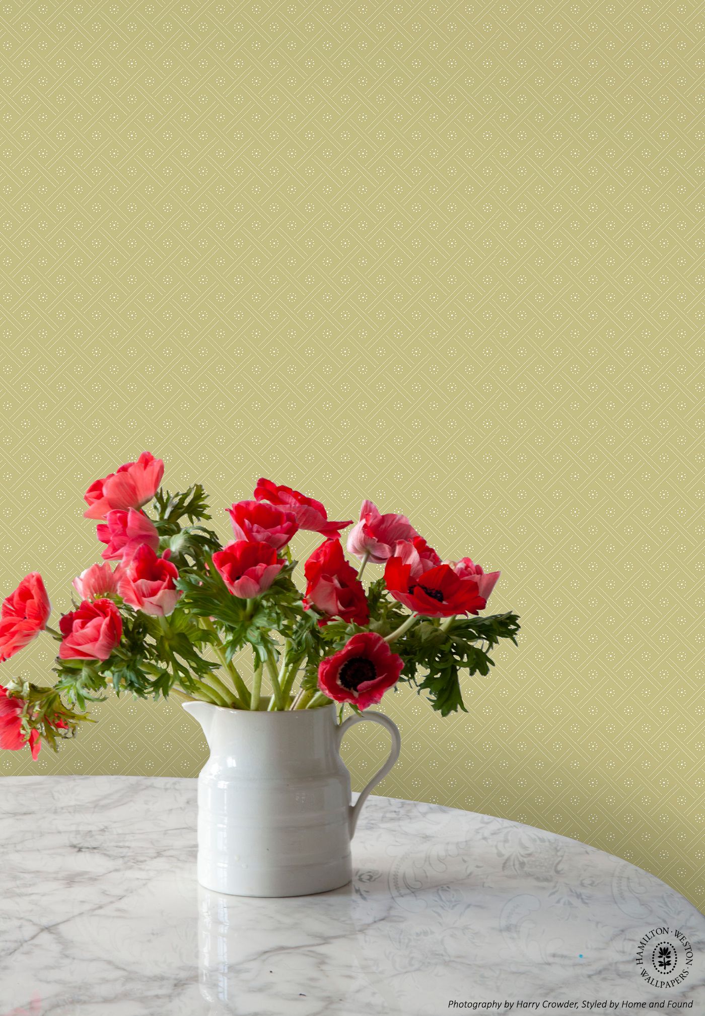 Dot Hamilton Plant at Robert Klein blog