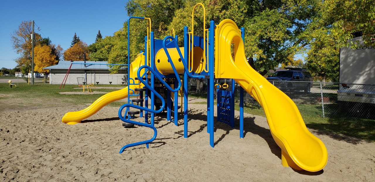 Hamiota Municipality lions2