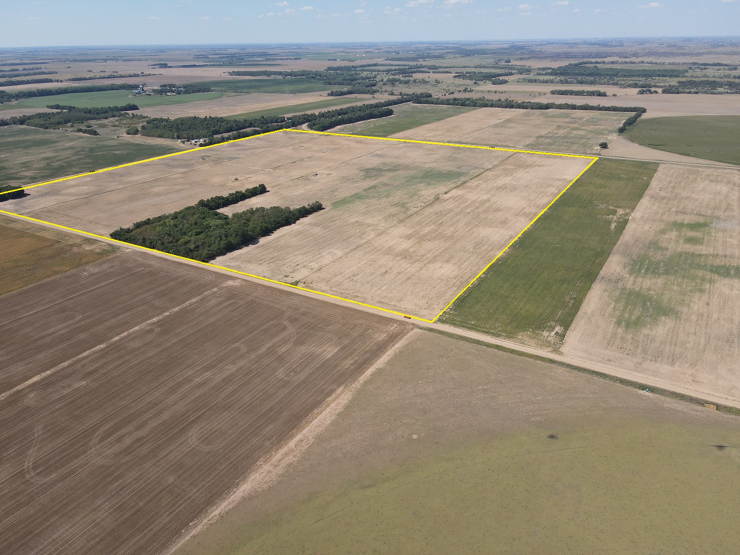 Auctions Hamm Auction & Real Estate