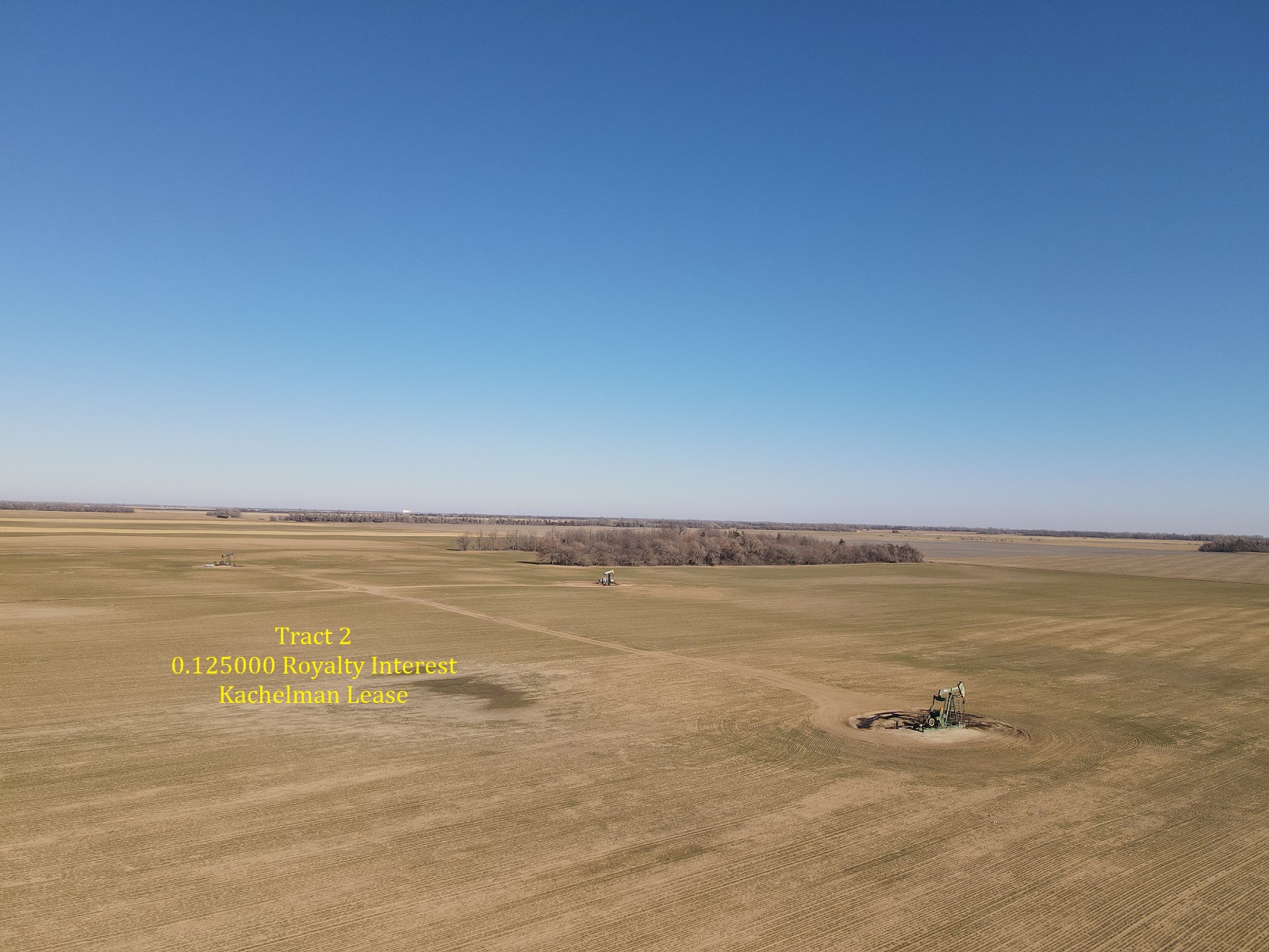 Auctions Hamm Auction & Real Estate