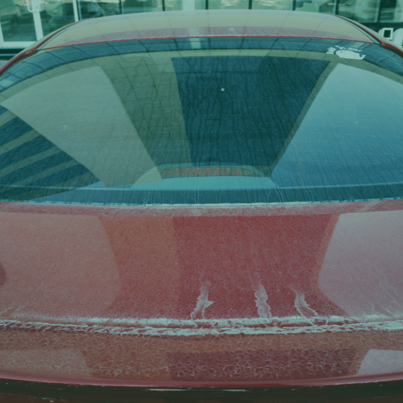 Common Hazards to Car Paint Hammer's Autoworks