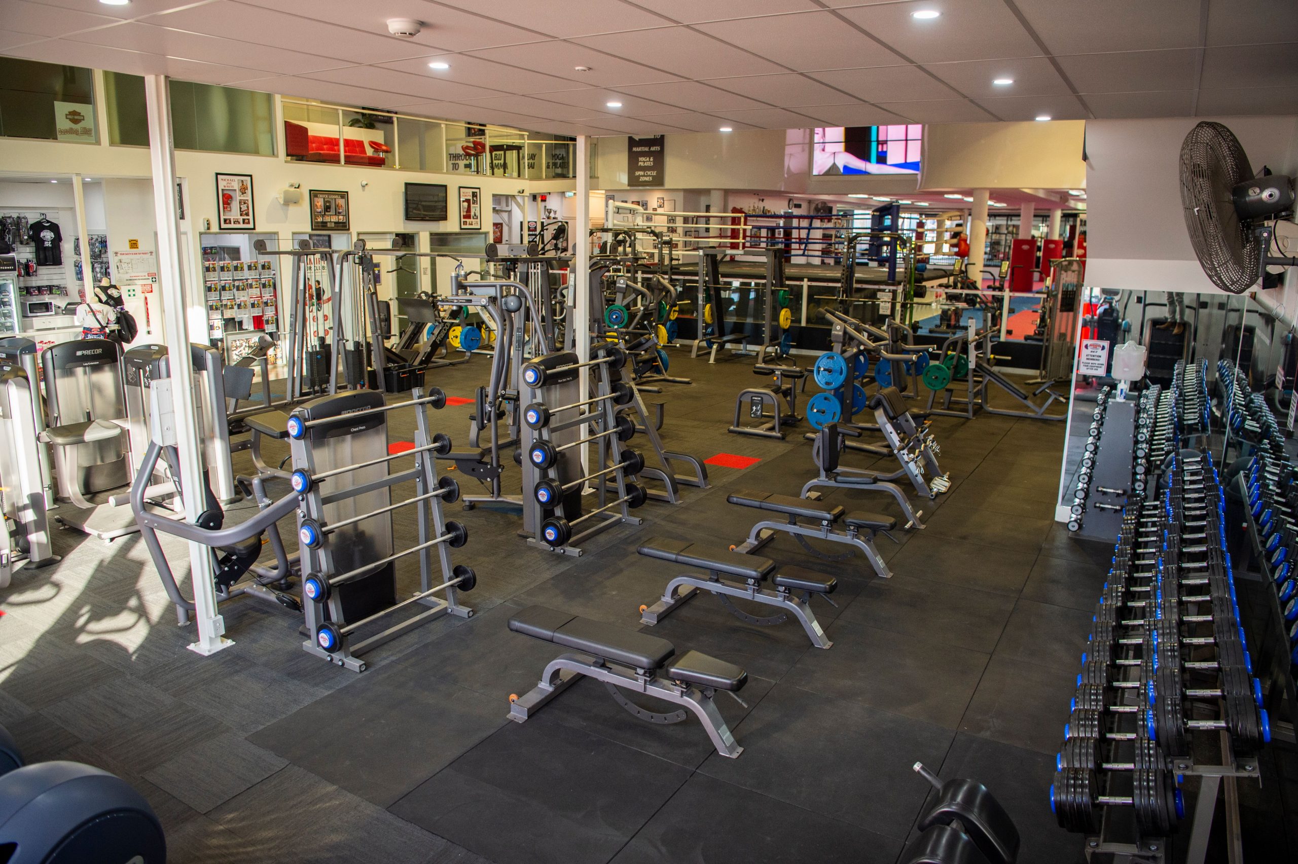 10 Training Zones Hammers Gym