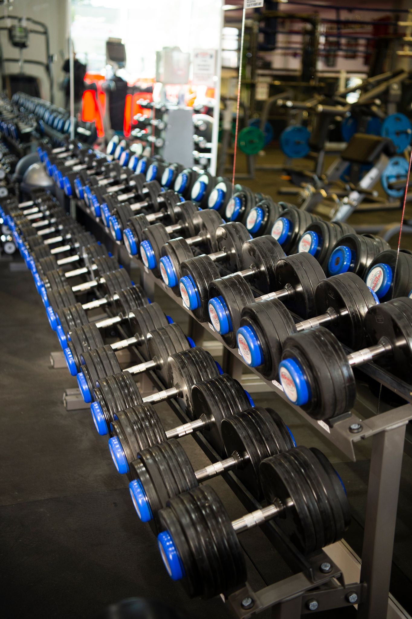 Gym Gallery Hammers Gym