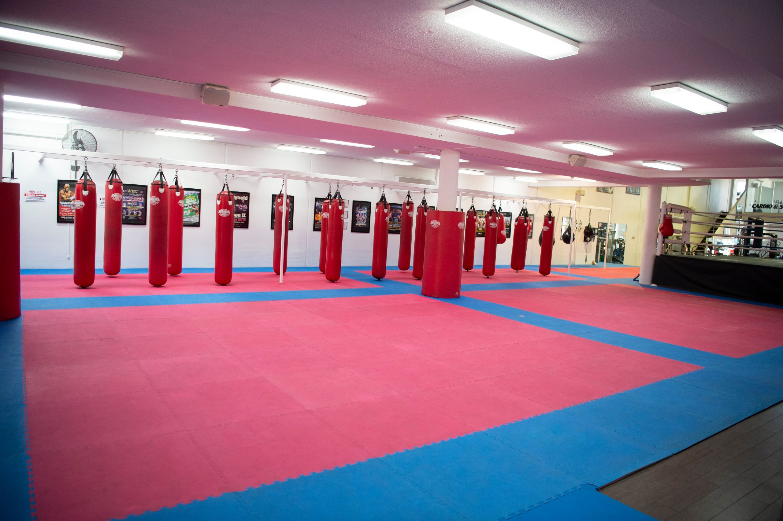 10 Training Zones Hammers Gym