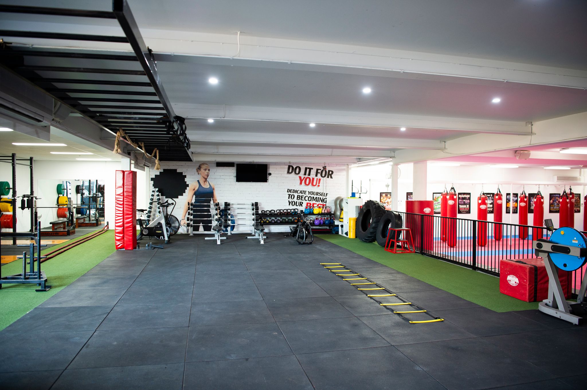 10 Training Zones Hammers Gym