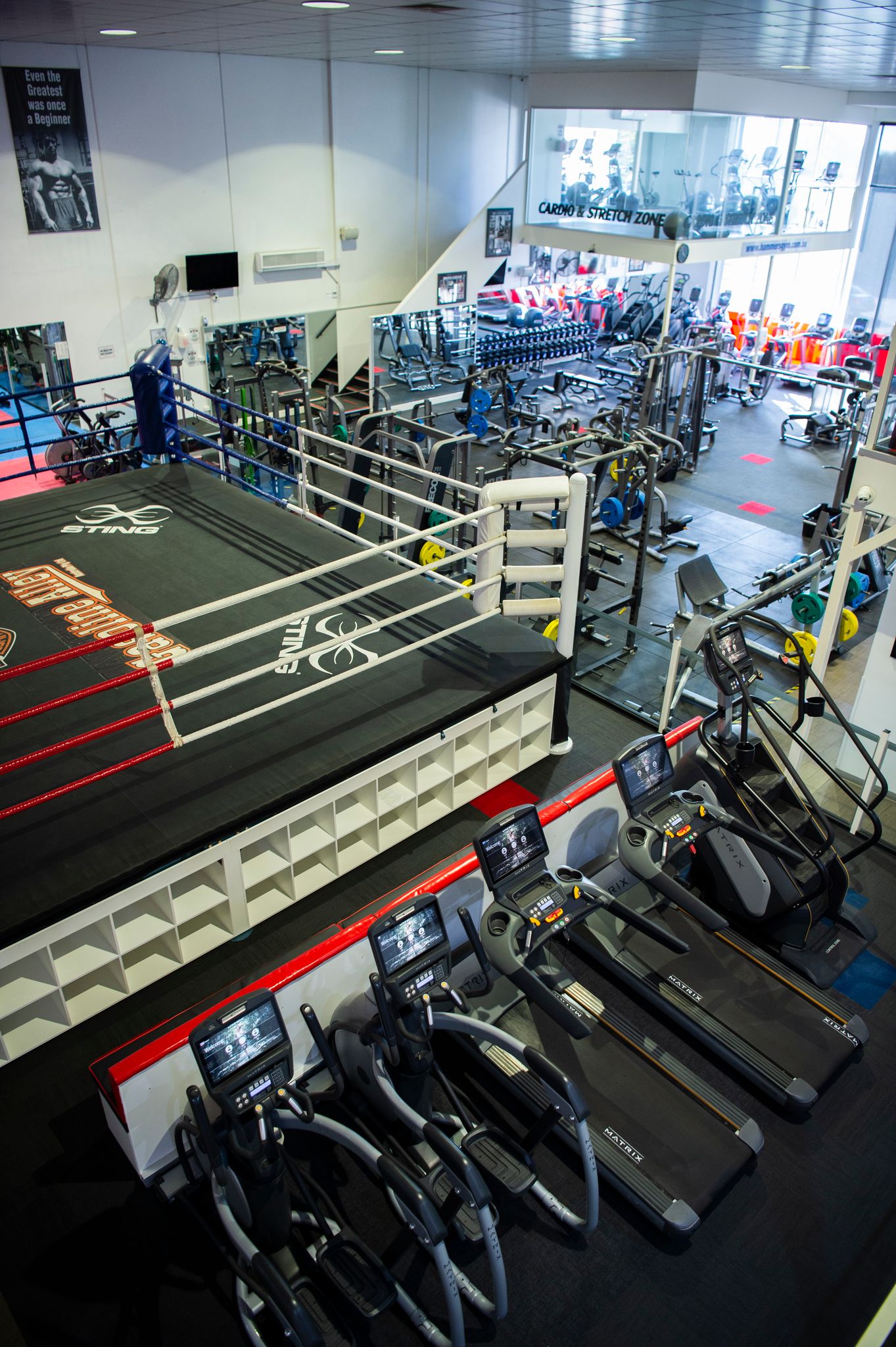 Gym Gallery Hammers Gym