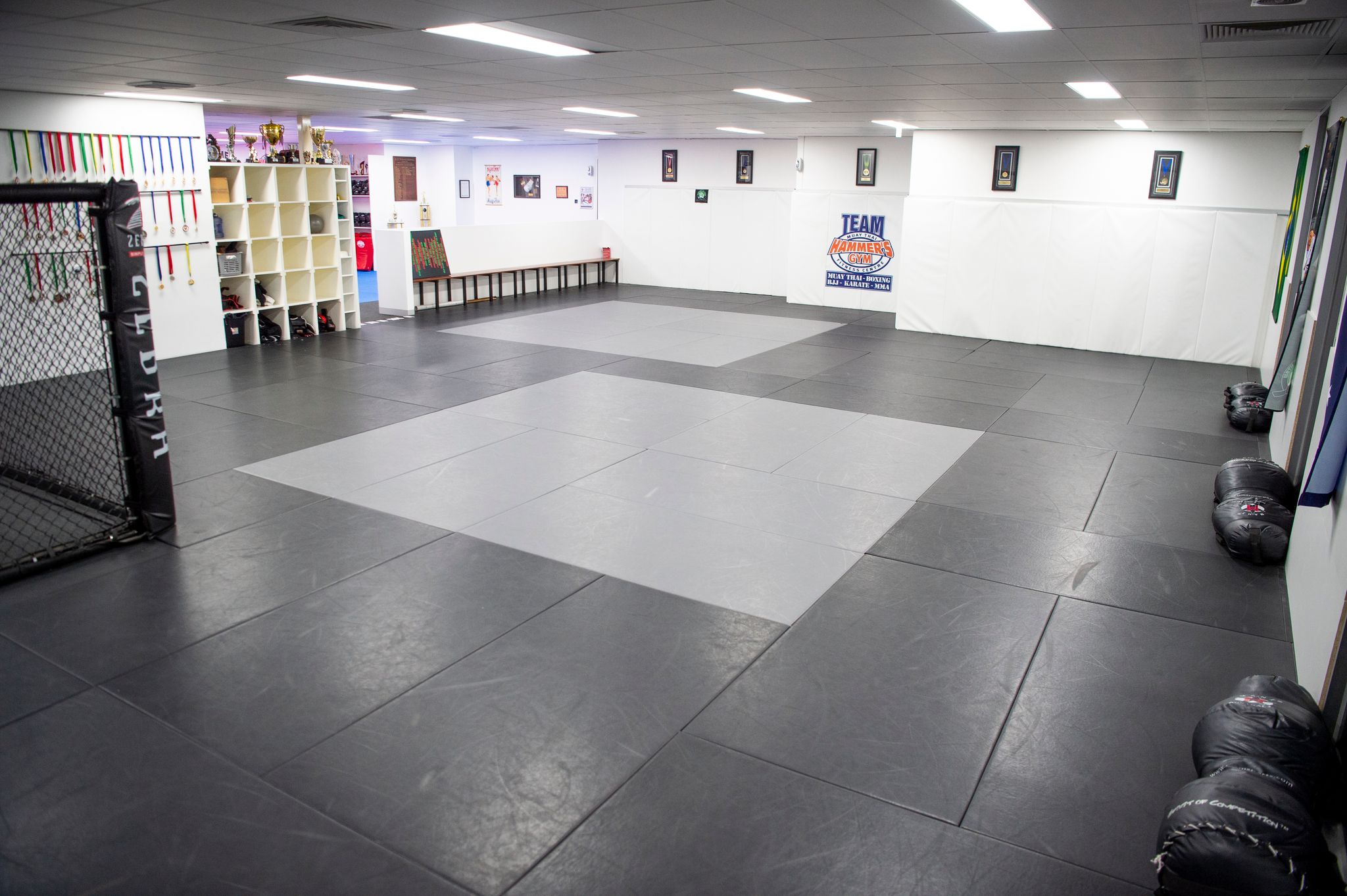 10 Training Zones Hammers Gym