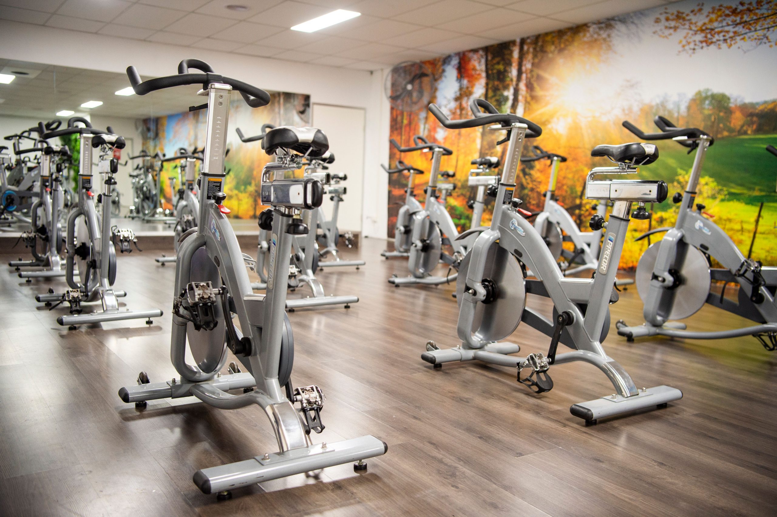 10 Training Zones Hammers Gym