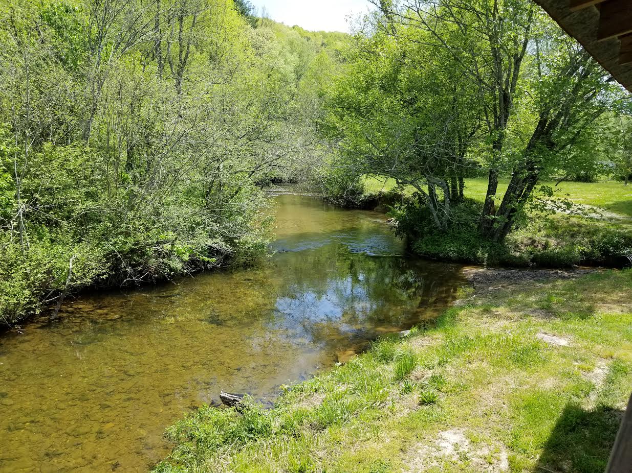 Creek in Spring Hammer's Hideaway Campground
