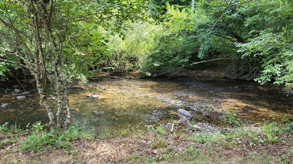 Primitive 13ft Bell Tent & Tent Camping Area Hammer's Hideaway Campground