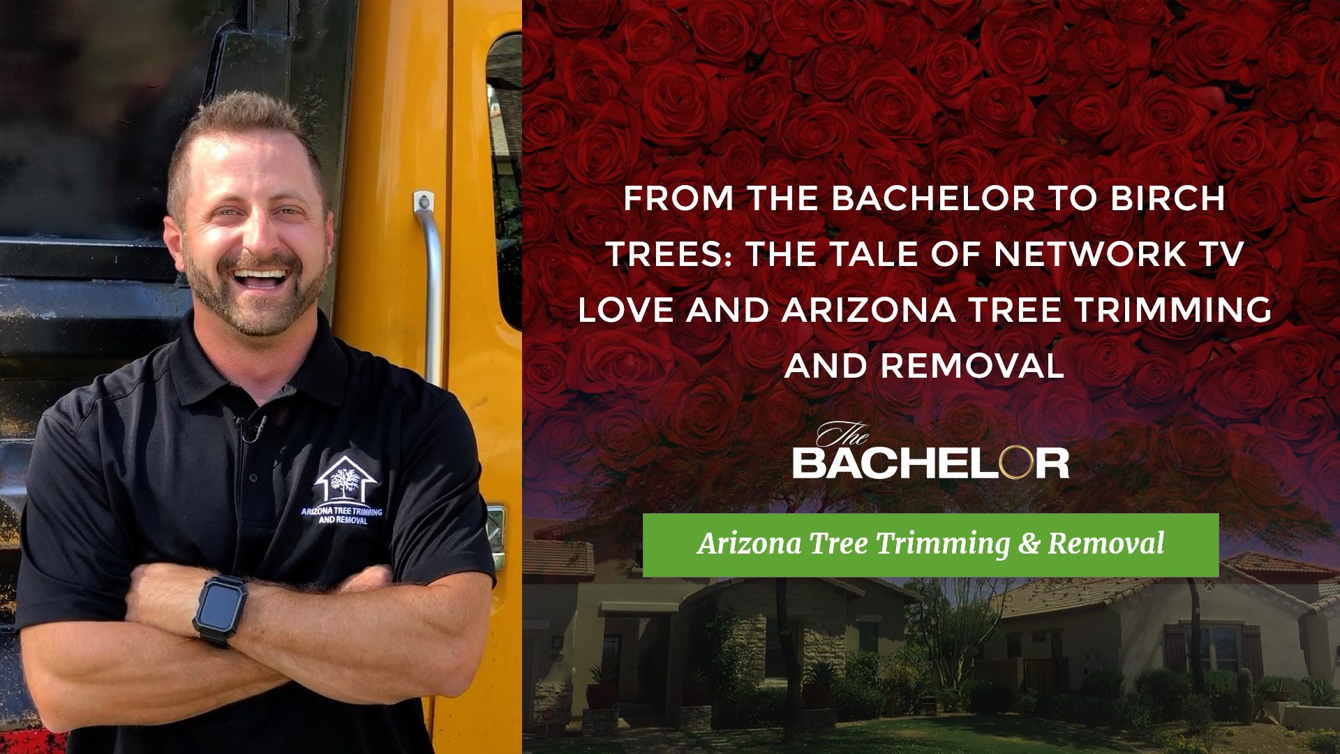 From The Bachelor to Birch Trees The Tale of Network TV Love and