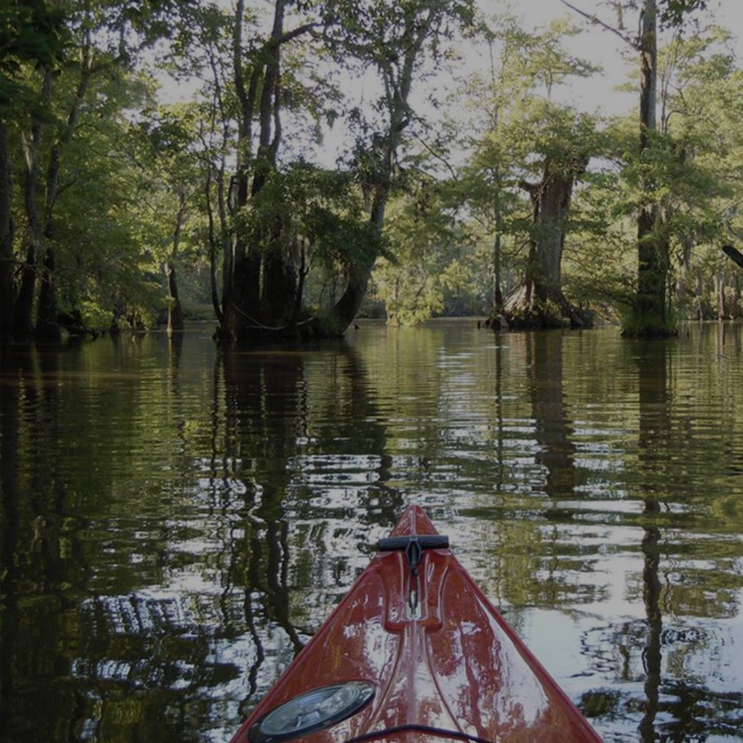 Waccamaw National Wildlife Refuge In SC